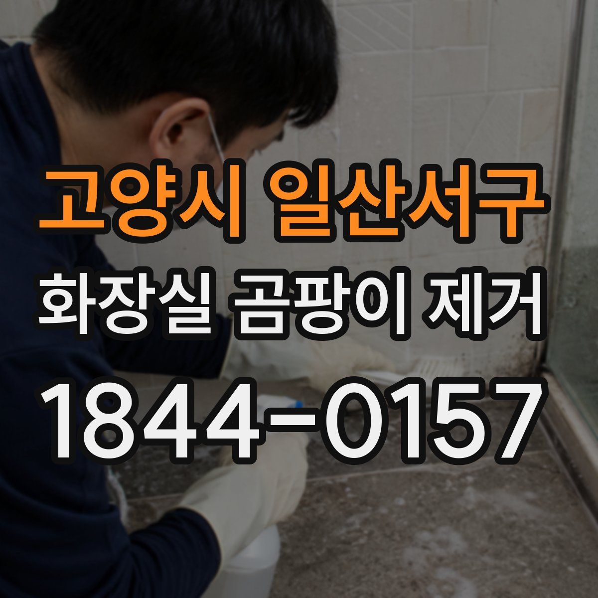 고양시 일산서구 화장실 곰팡이 제거