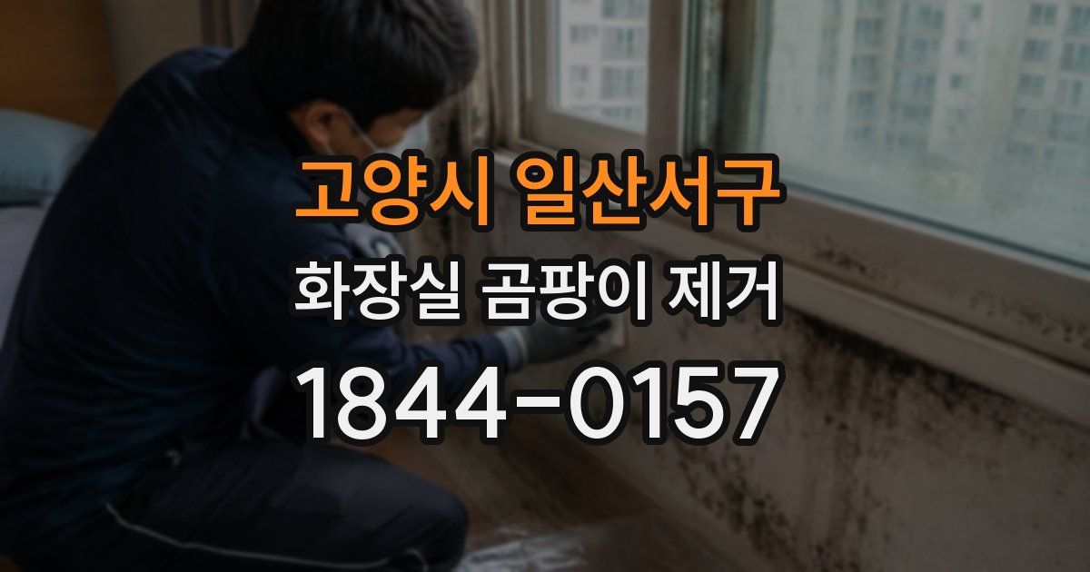 고양시 일산서구 화장실 곰팡이 제거