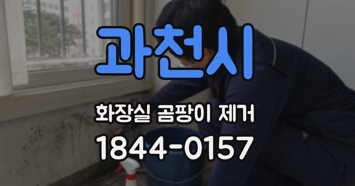 과천시 화장실 곰팡이 제거