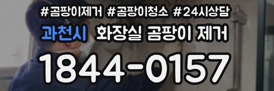 과천시 화장실 곰팡이 제거