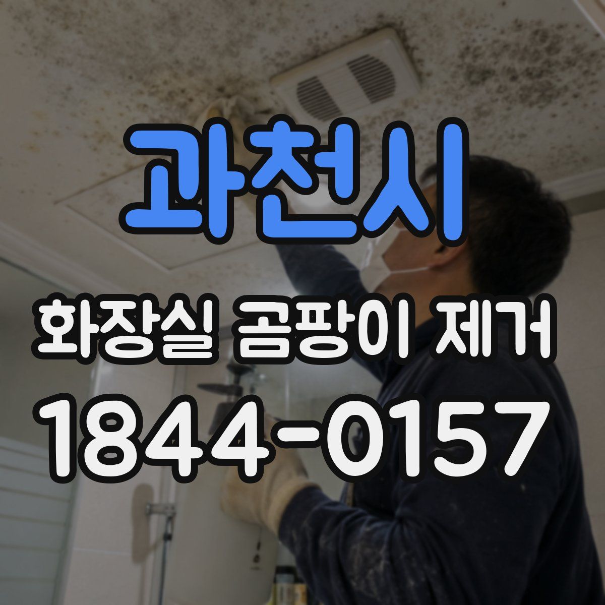 과천시 화장실 곰팡이 제거