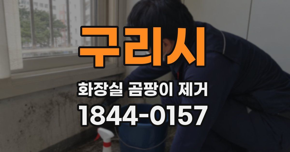 구리시 화장실 곰팡이 제거