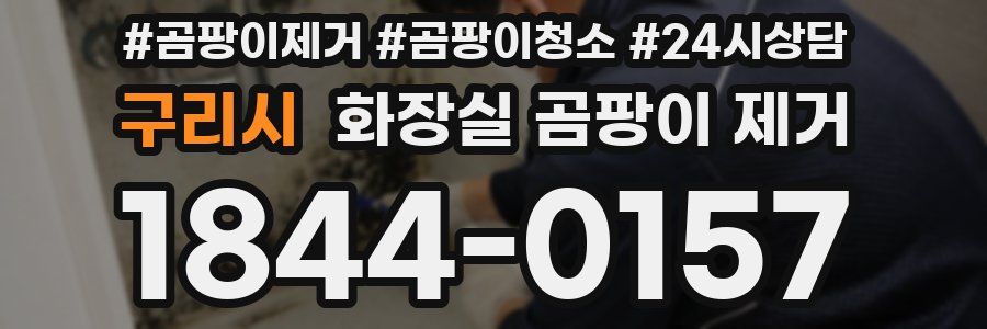 구리시 화장실 곰팡이 제거