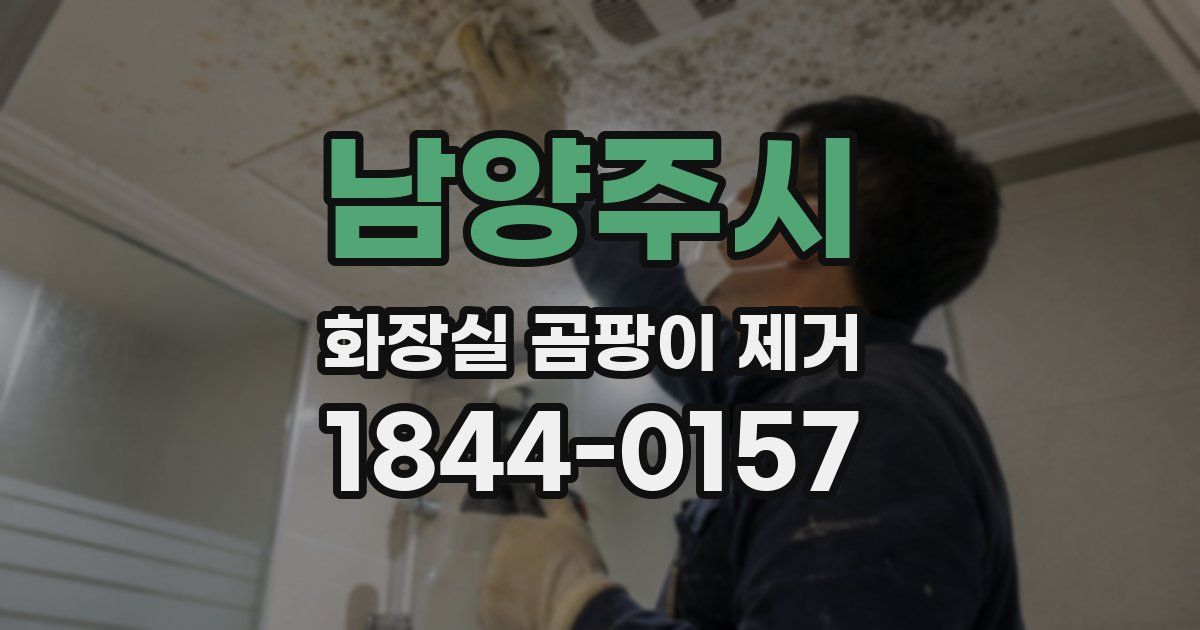 남양주시 화장실 곰팡이 제거