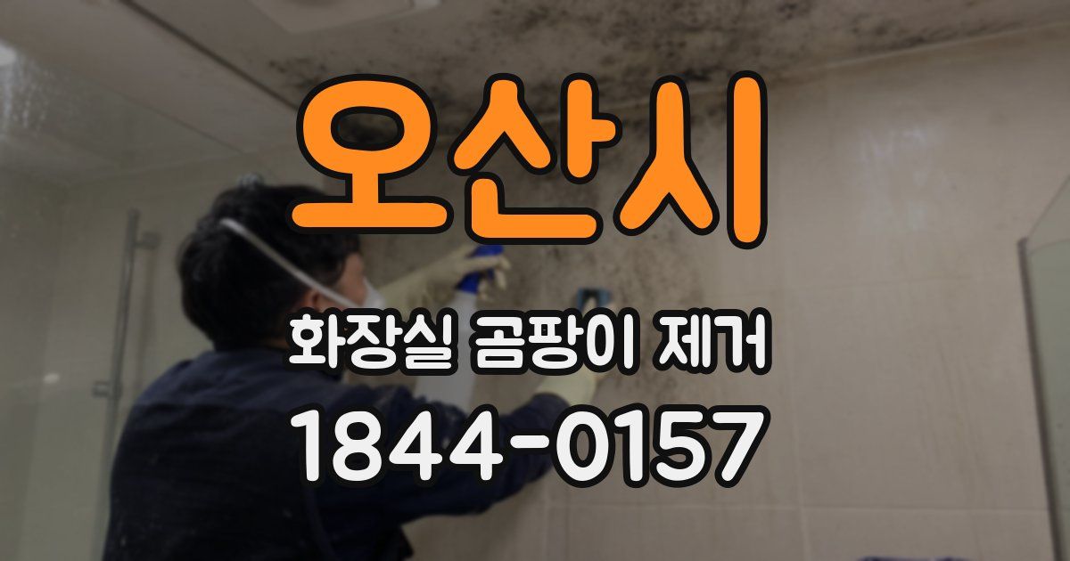 오산시 화장실 곰팡이 제거