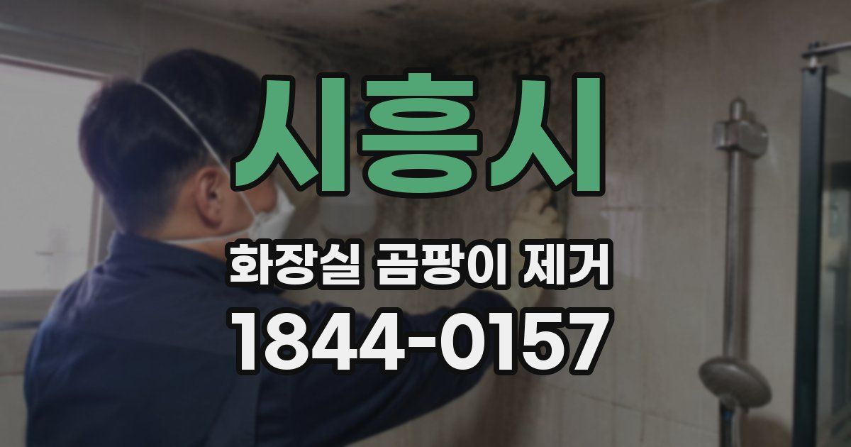 시흥시 화장실 곰팡이 제거
