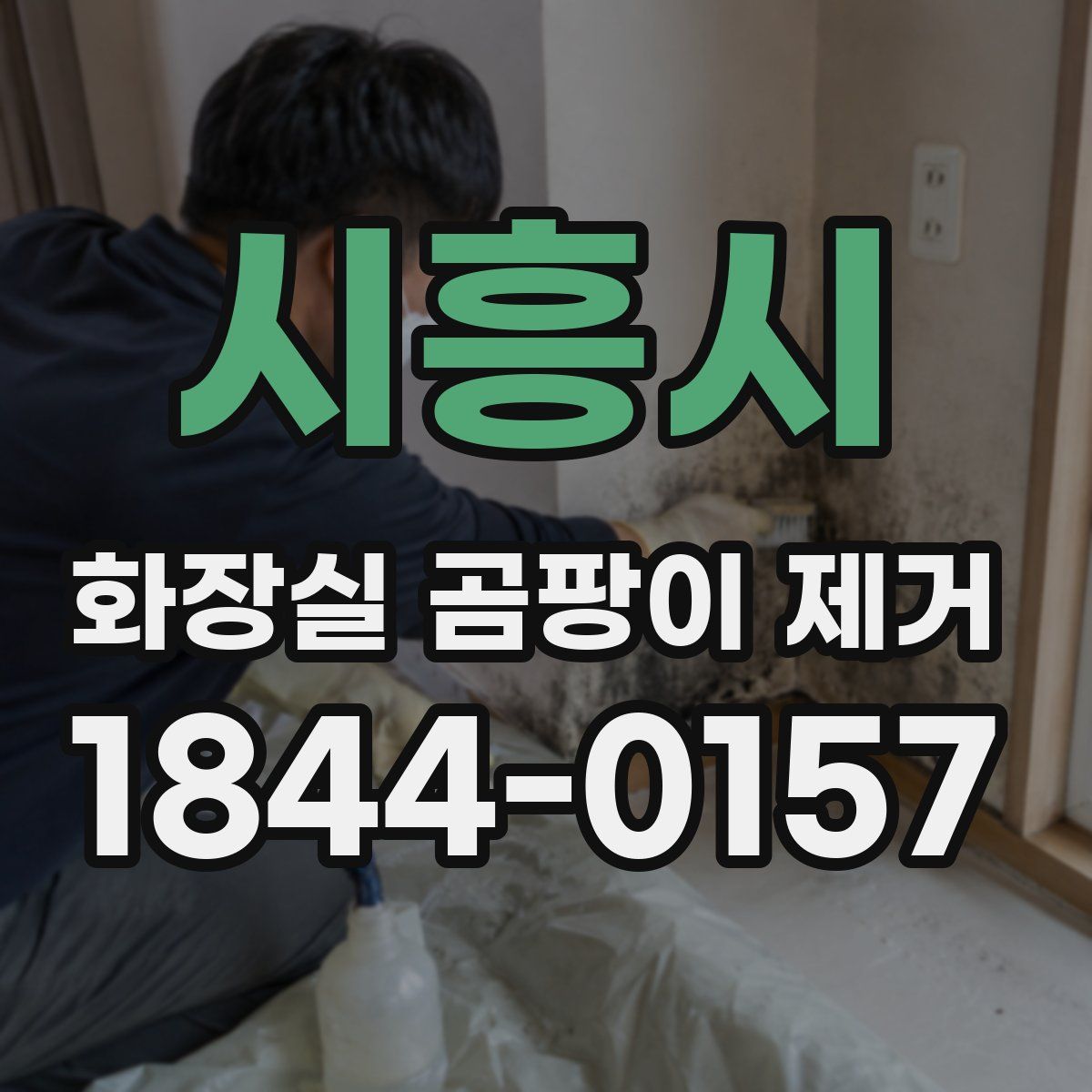 시흥시 화장실 곰팡이 제거