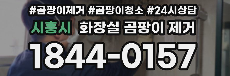 시흥시 화장실 곰팡이 제거