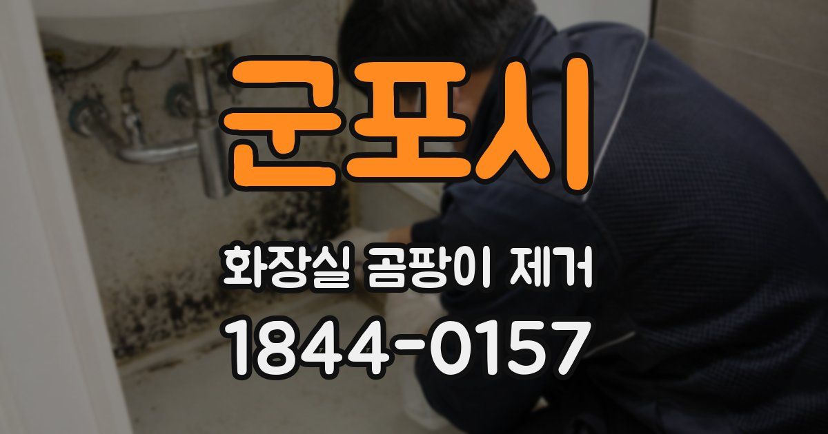 군포시 화장실 곰팡이 제거
