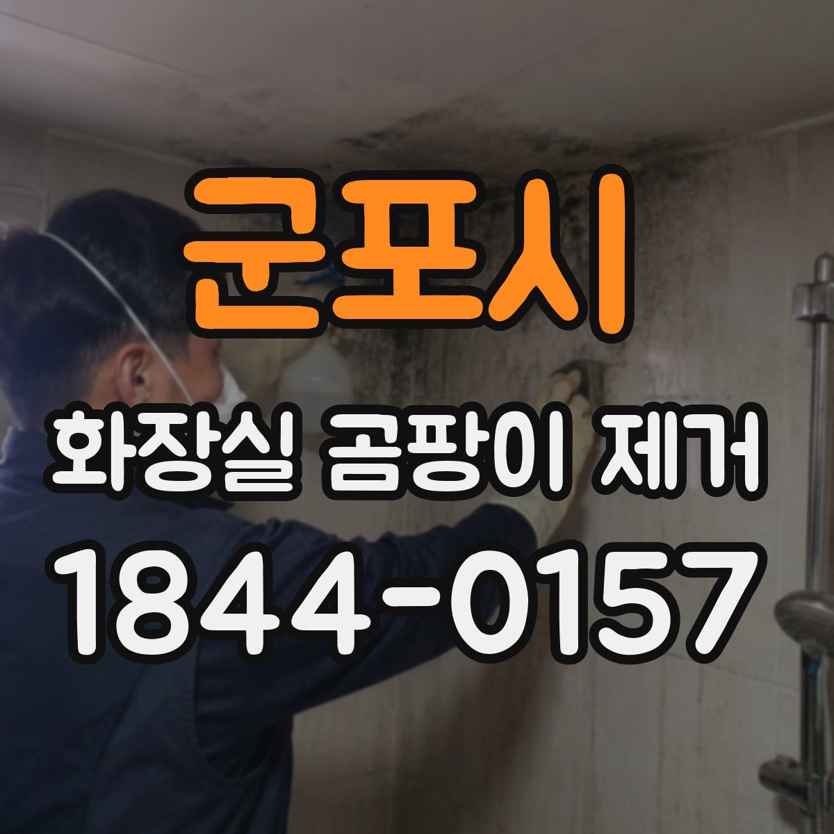 군포시 화장실 곰팡이 제거