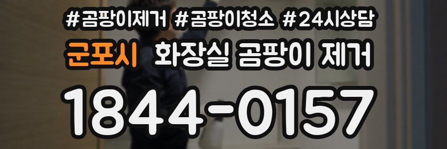 군포시 화장실 곰팡이 제거