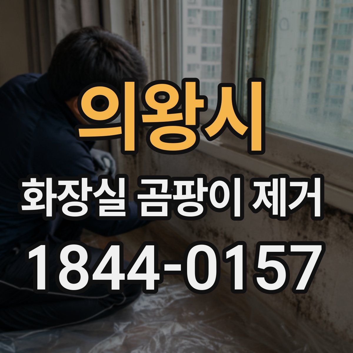 의왕시 화장실 곰팡이 제거