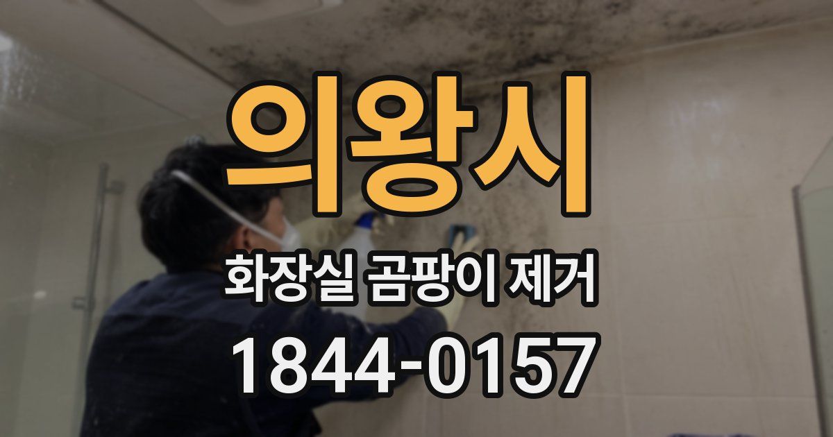 의왕시 화장실 곰팡이 제거