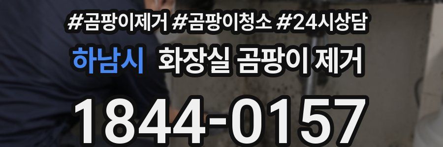 하남시 화장실 곰팡이 제거