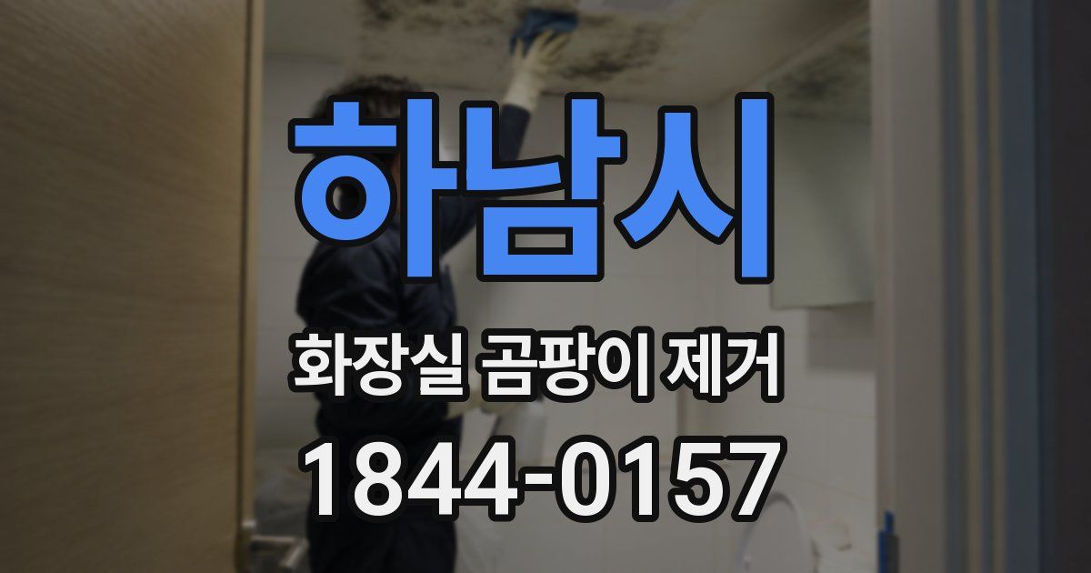 하남시 화장실 곰팡이 제거