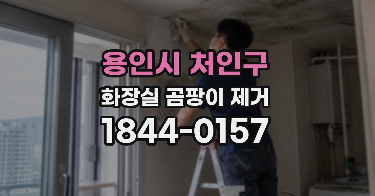 용인시 처인구 화장실 곰팡이 제거