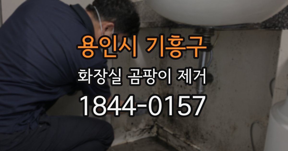 용인시 기흥구 화장실 곰팡이 제거