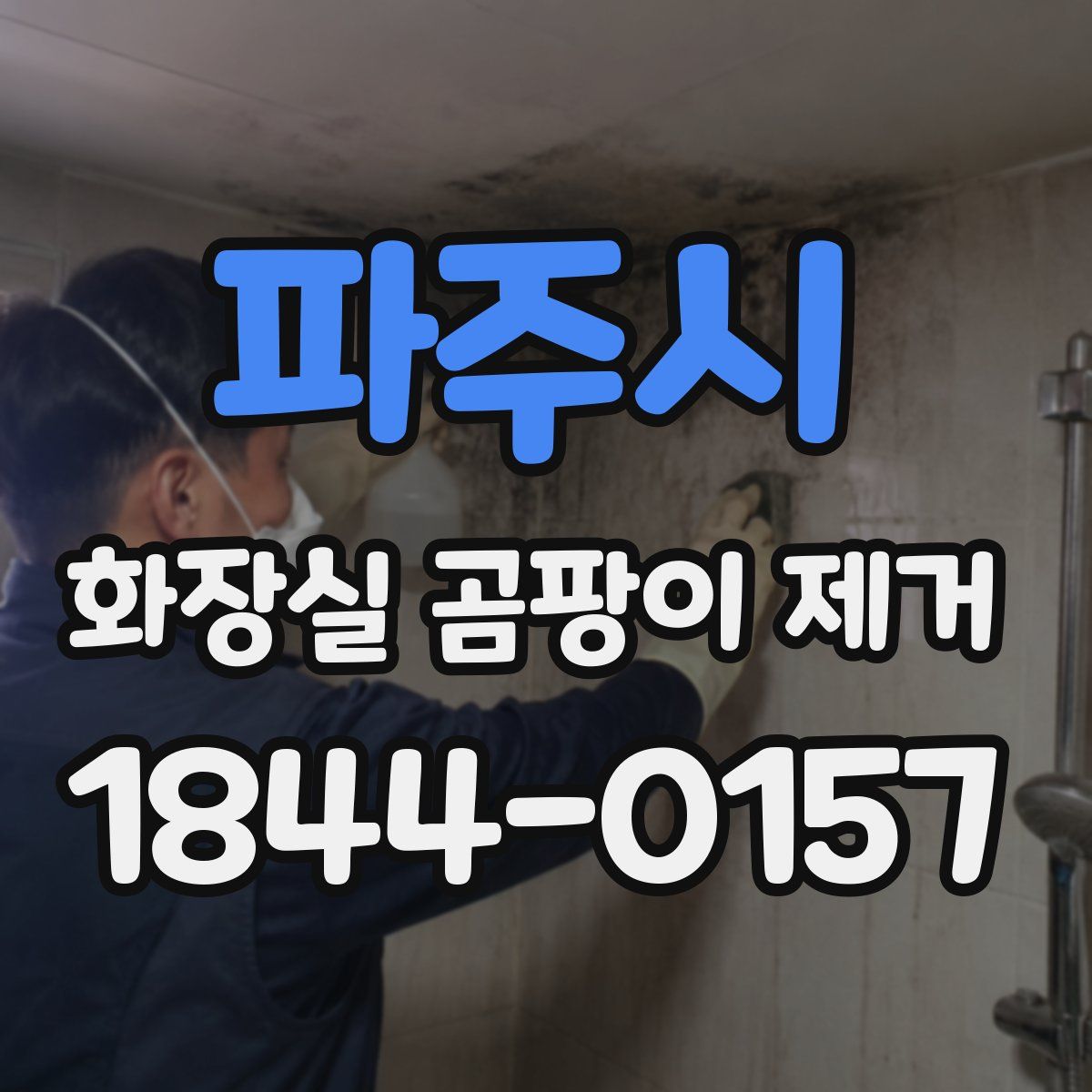 파주시 화장실 곰팡이 제거