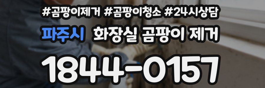 파주시 화장실 곰팡이 제거