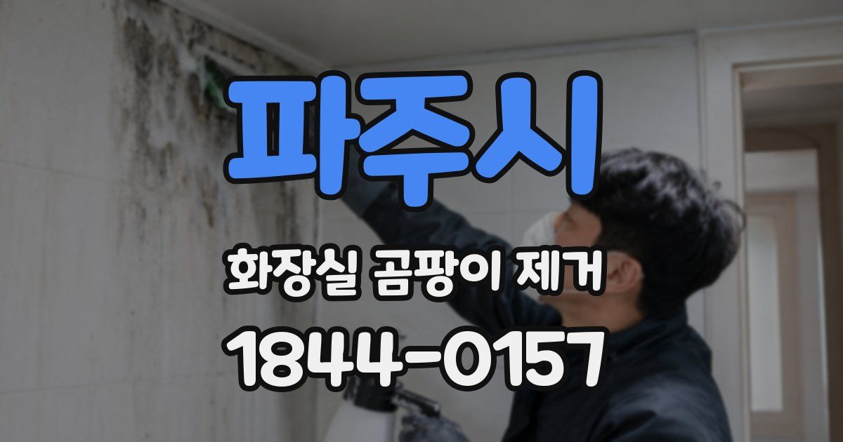 파주시 화장실 곰팡이 제거