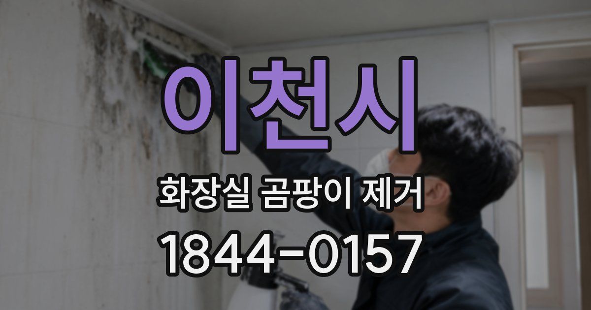 이천시 화장실 곰팡이 제거