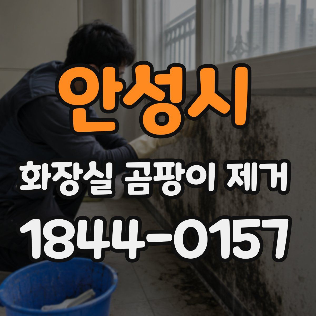 안성시 화장실 곰팡이 제거