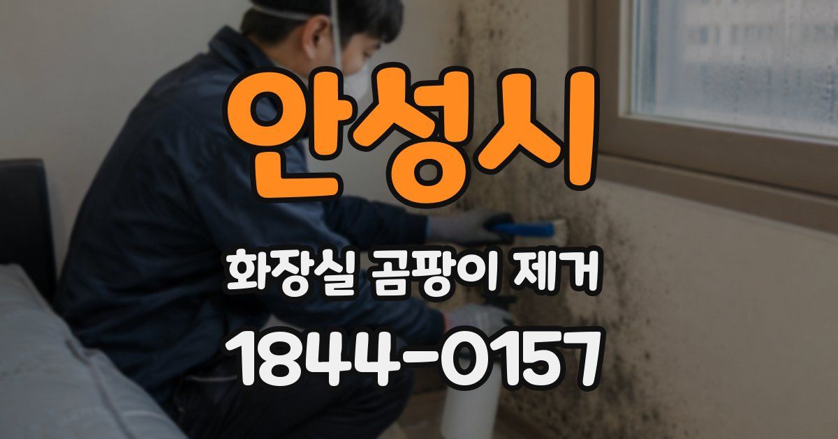안성시 화장실 곰팡이 제거