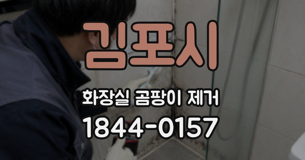 김포시 화장실 곰팡이 제거