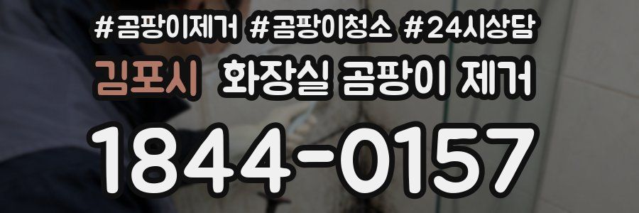 김포시 화장실 곰팡이 제거