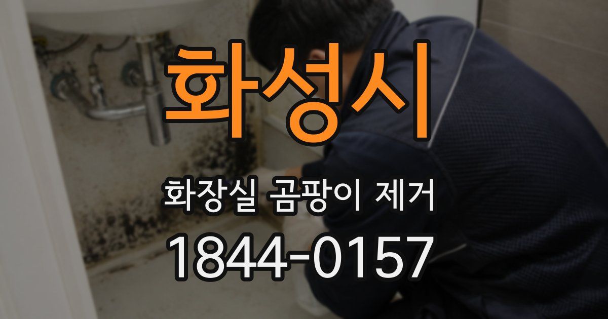 화성시 화장실 곰팡이 제거