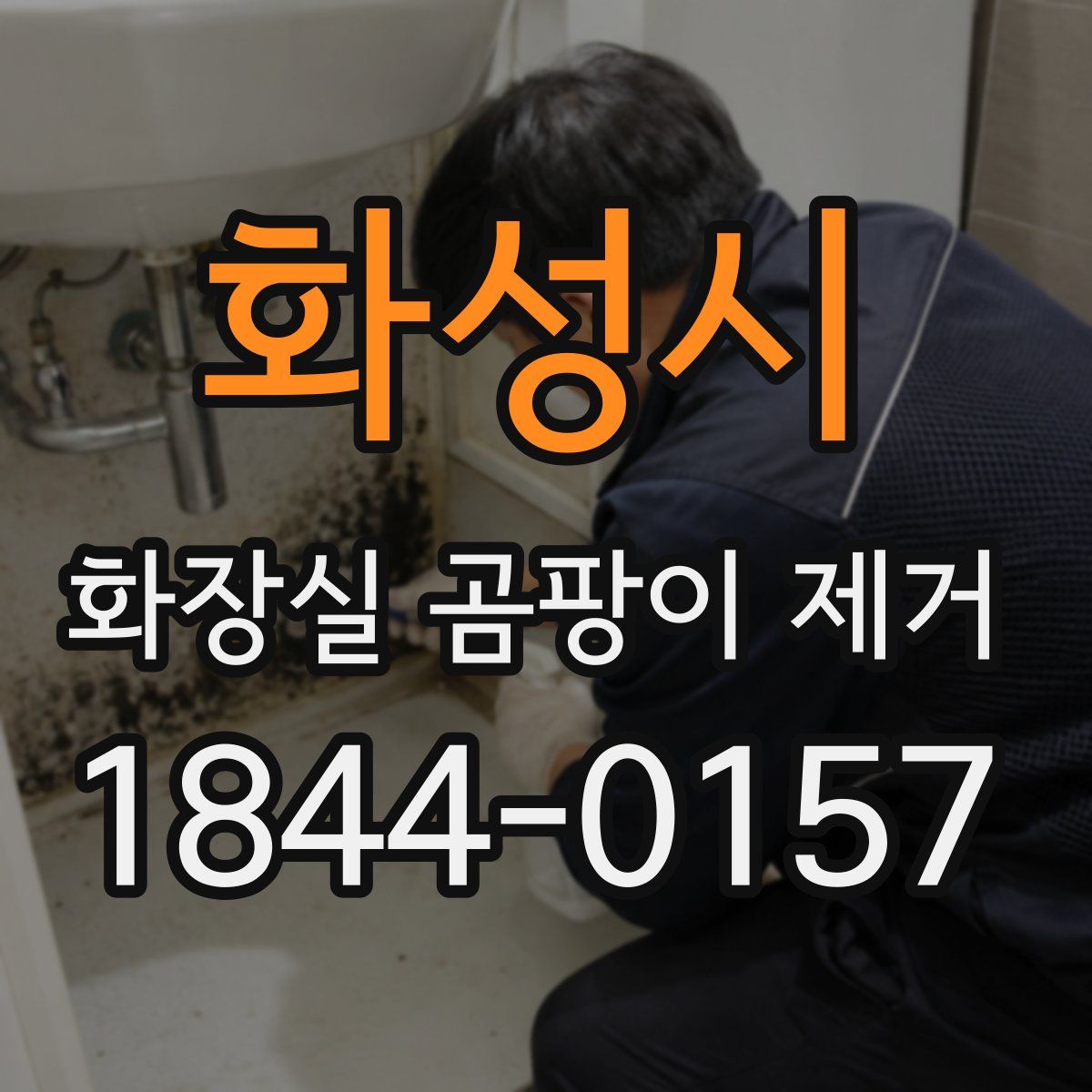 화성시 화장실 곰팡이 제거