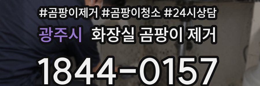 광주시 화장실 곰팡이 제거