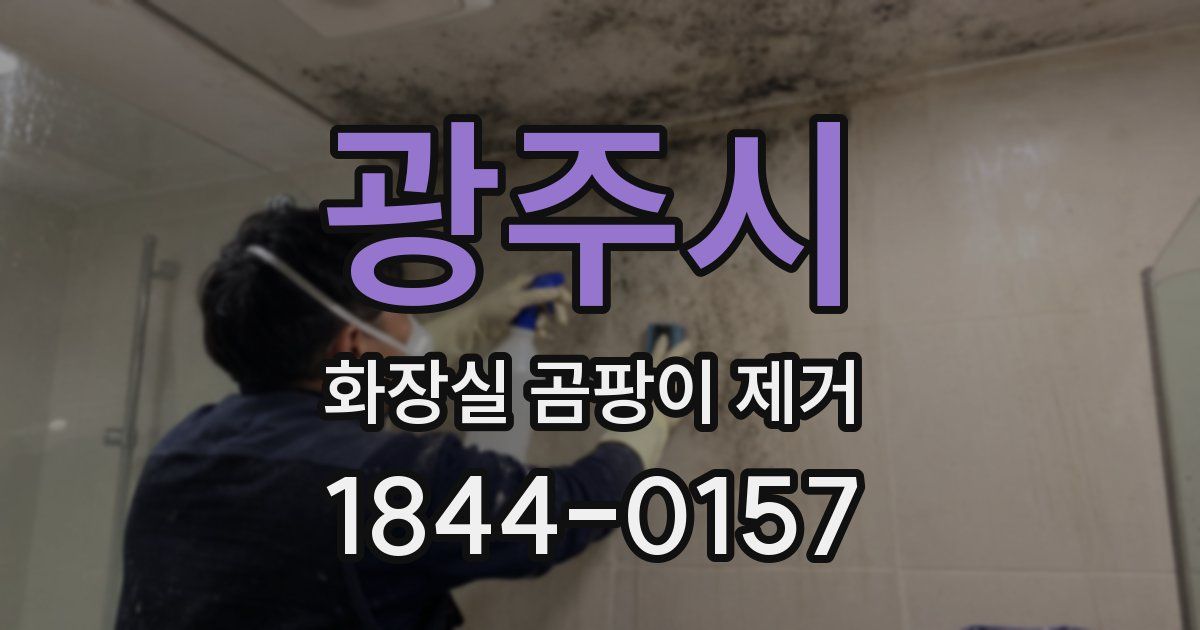 광주시 화장실 곰팡이 제거
