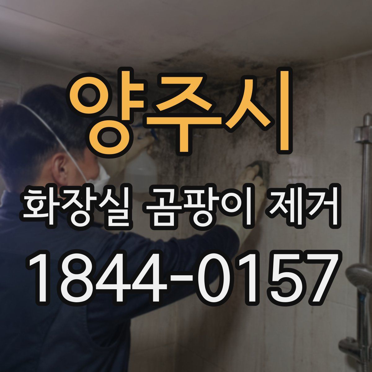 양주시 화장실 곰팡이 제거