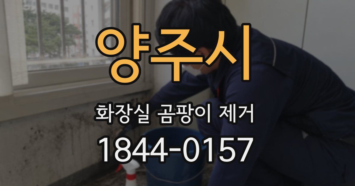 양주시 화장실 곰팡이 제거