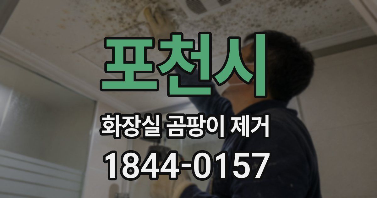 포천시 화장실 곰팡이 제거