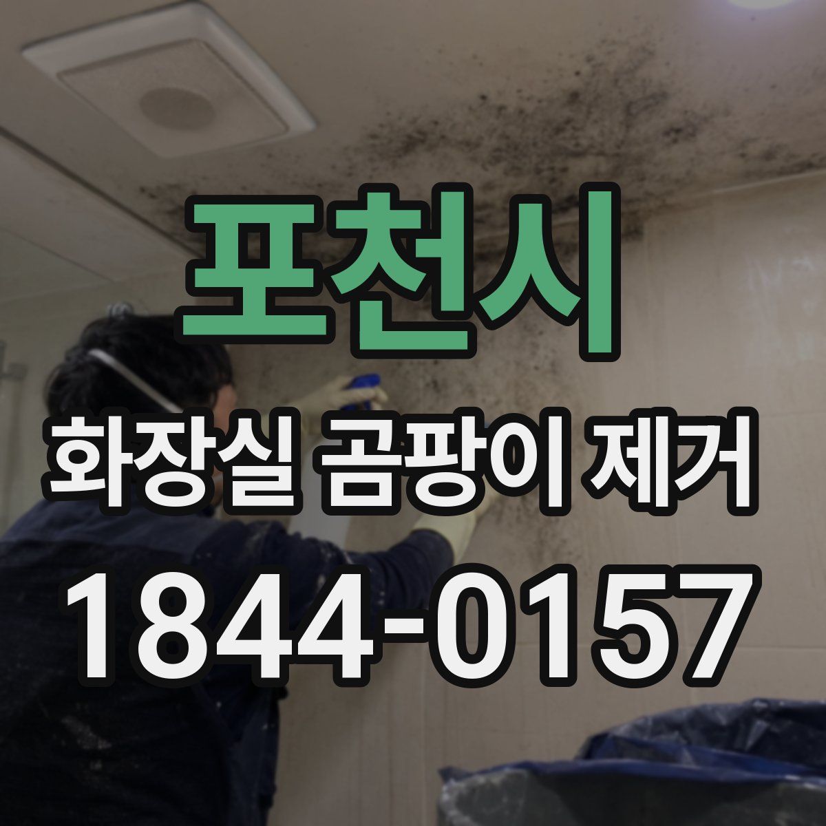 포천시 화장실 곰팡이 제거