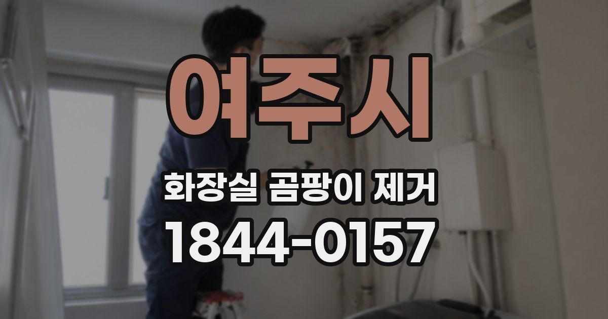 여주시 화장실 곰팡이 제거