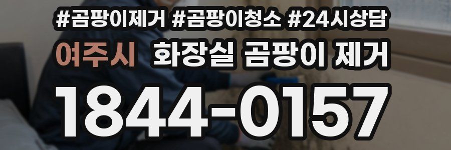 여주시 화장실 곰팡이 제거
