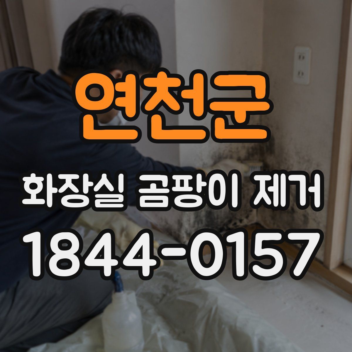 연천군 화장실 곰팡이 제거