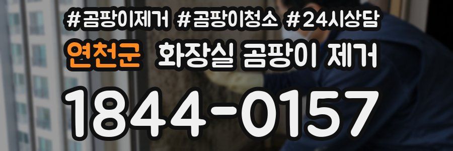 연천군 화장실 곰팡이 제거