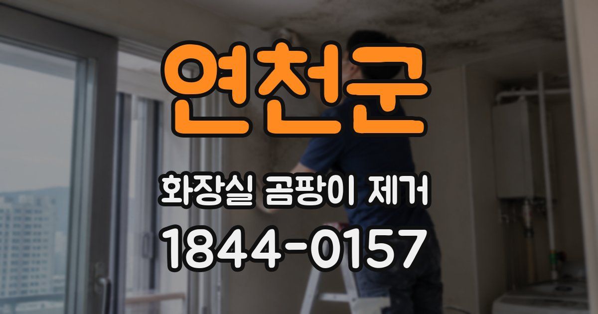 연천군 화장실 곰팡이 제거