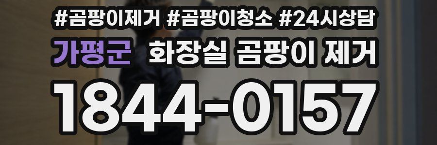 가평군 화장실 곰팡이 제거