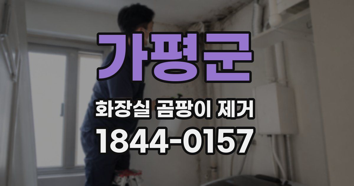 가평군 화장실 곰팡이 제거
