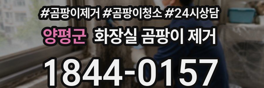 양평군 화장실 곰팡이 제거