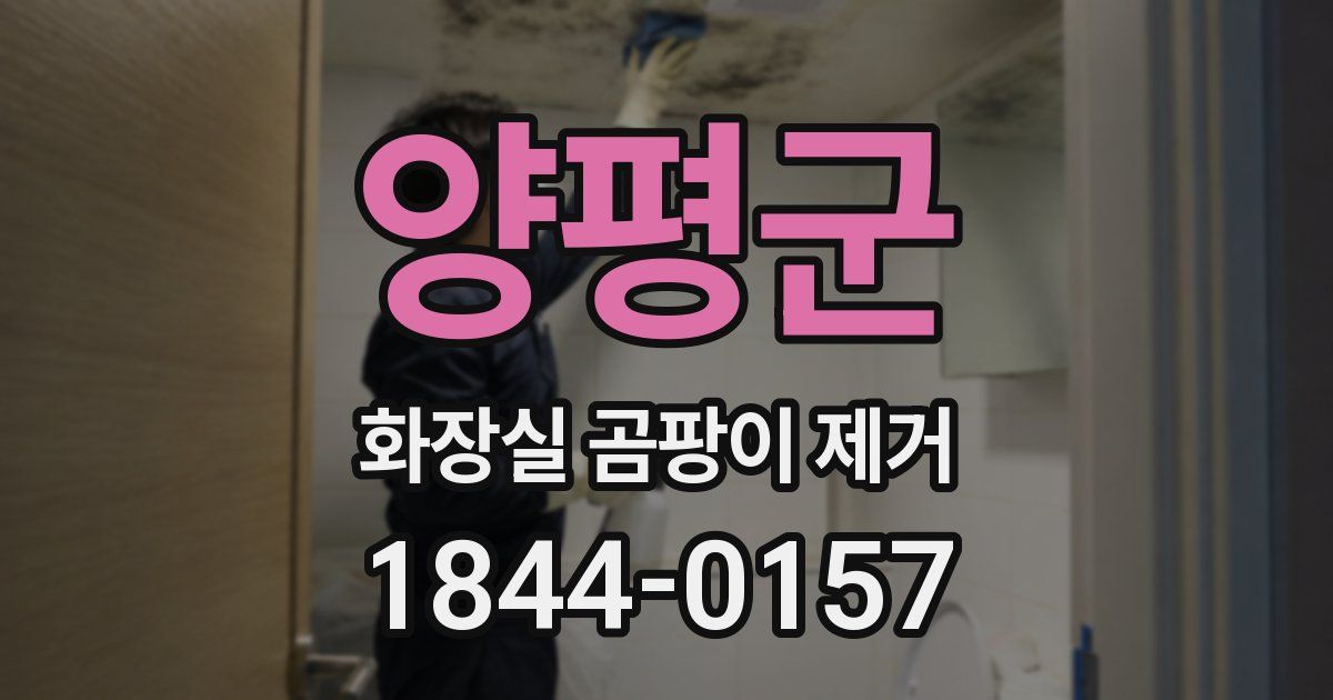 양평군 화장실 곰팡이 제거