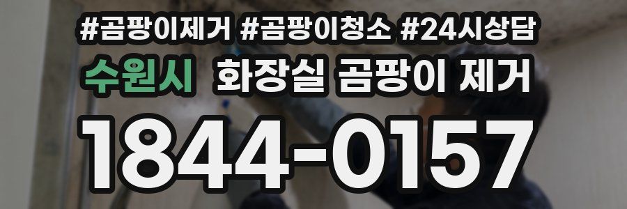 수원시 화장실 곰팡이 제거
