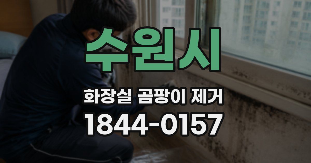 수원시 화장실 곰팡이 제거