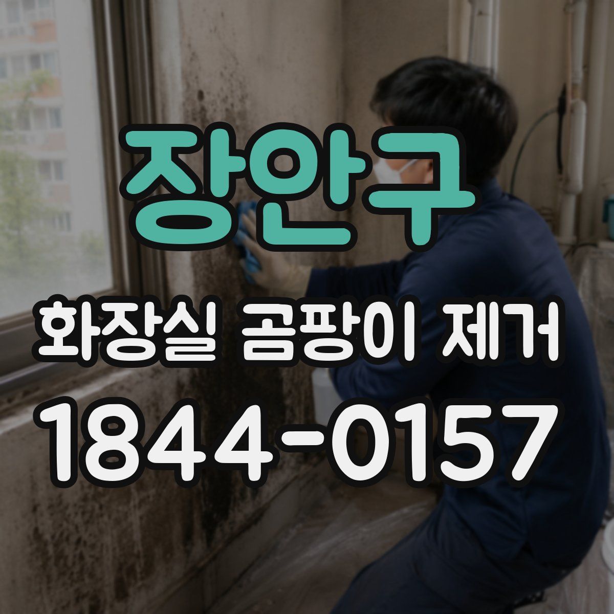 장안구 화장실 곰팡이 제거