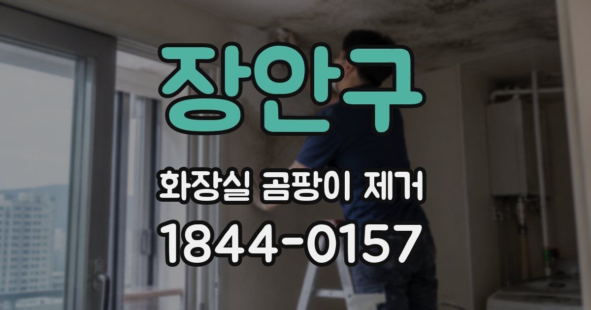 장안구 화장실 곰팡이 제거